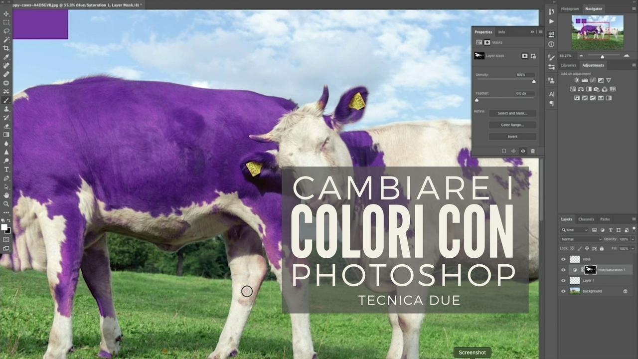 Come Applicare Uno Specifico Colore In Photoshop Seconda Tecnica