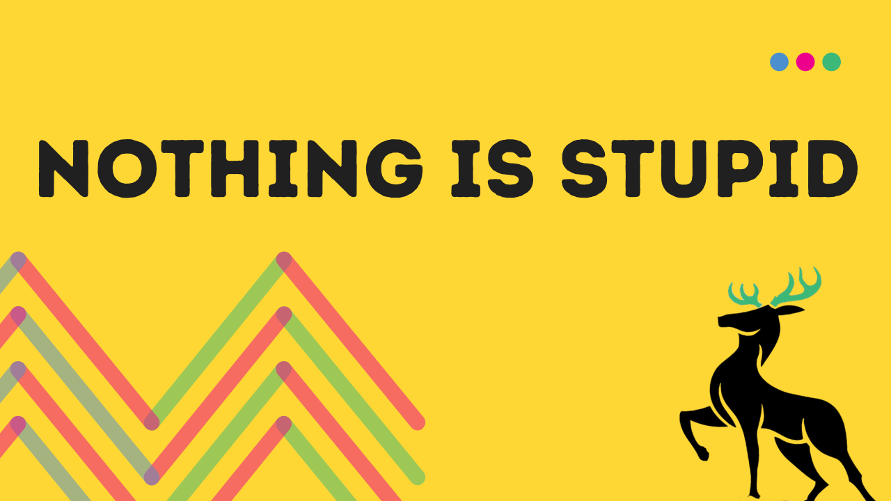 NOTHING IS STUPID