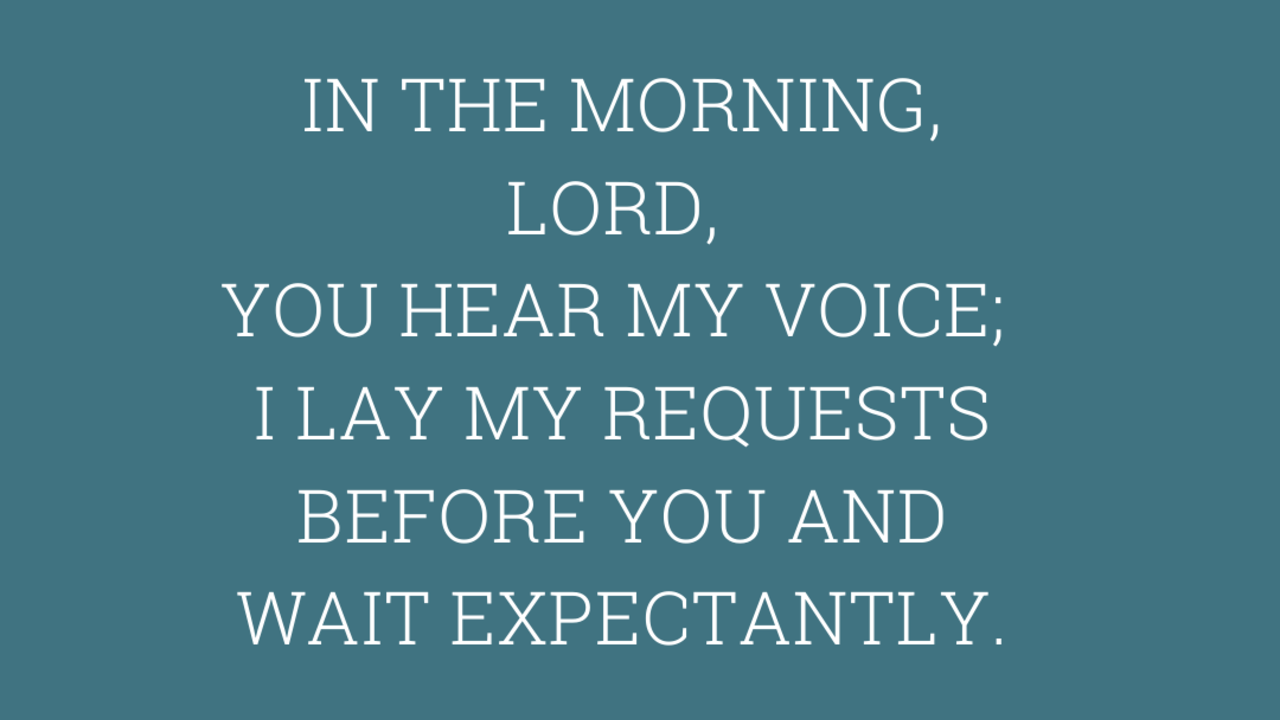 IN THE MORNING...