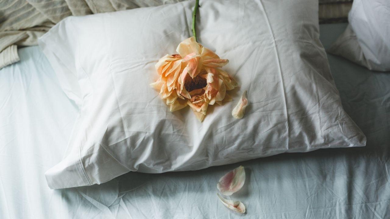 pelvic floor health