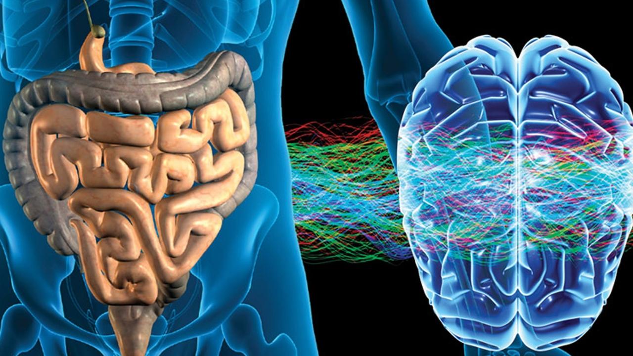 Gut Feelings Are Data Too