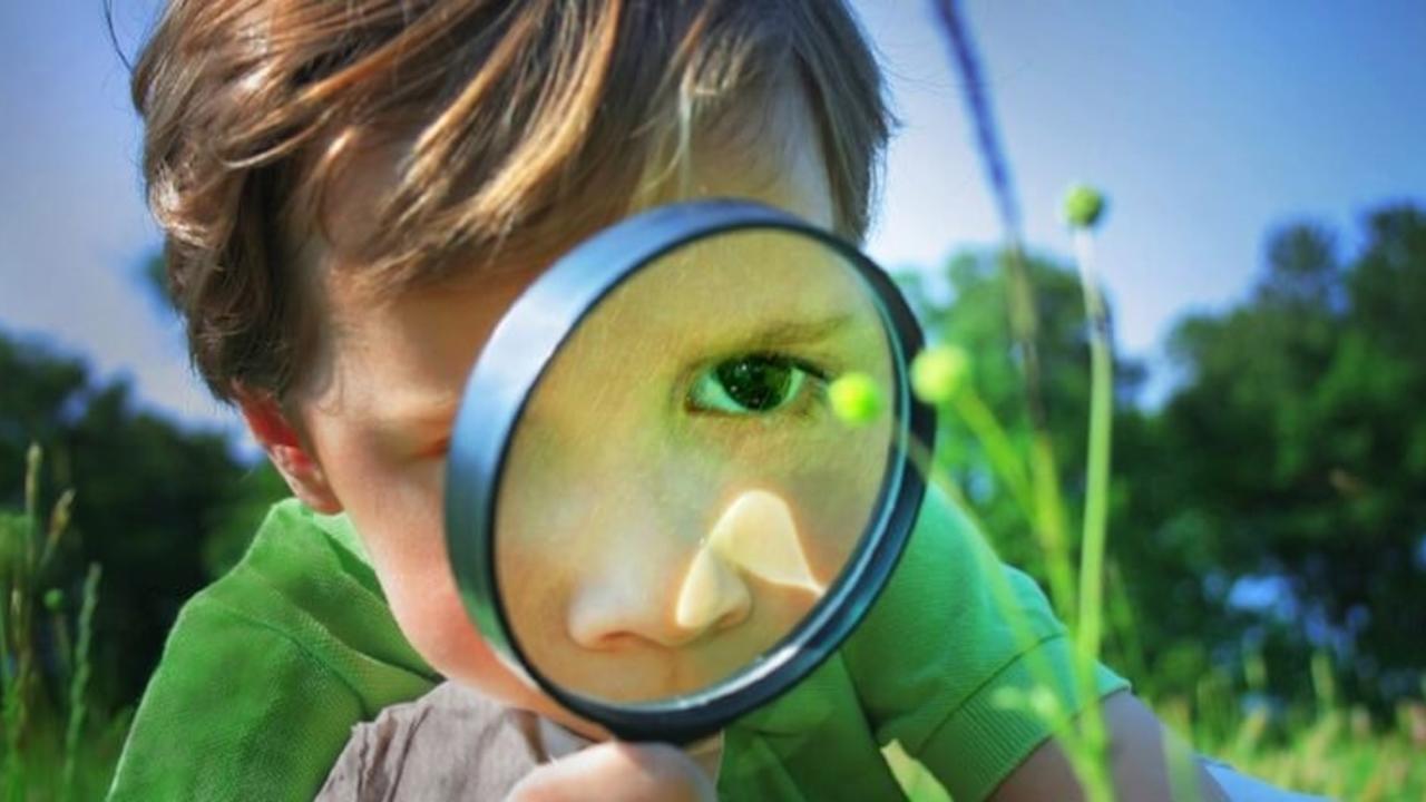Innovative Leadership Thrives on Curiosity