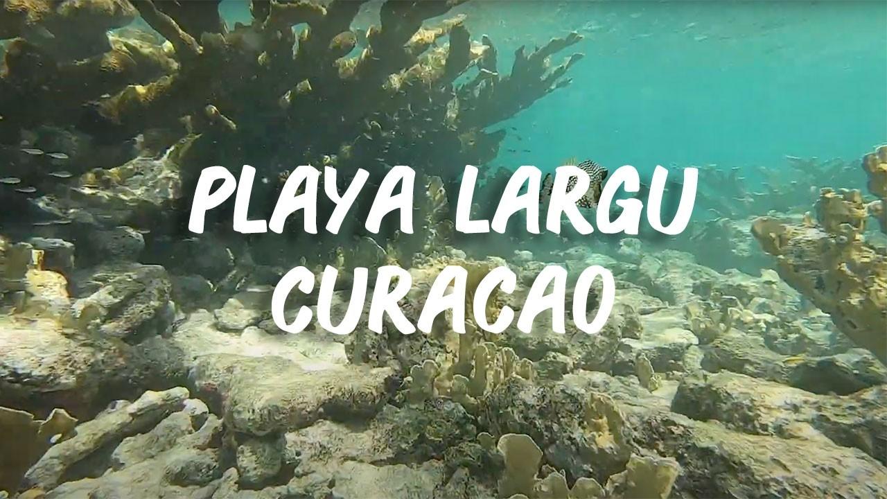 Playa Largu, Curacao