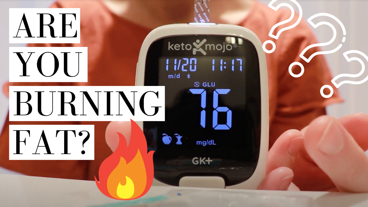 HOW TO USE KETO MOJO TO TEST FASTING GLUCOSE AND KETONES | Weight Loss for Health | Dr. Morgan Nolte | Online Weight Loss Coach