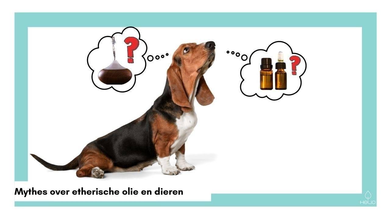 huisdieren vergiftigd door diffuser