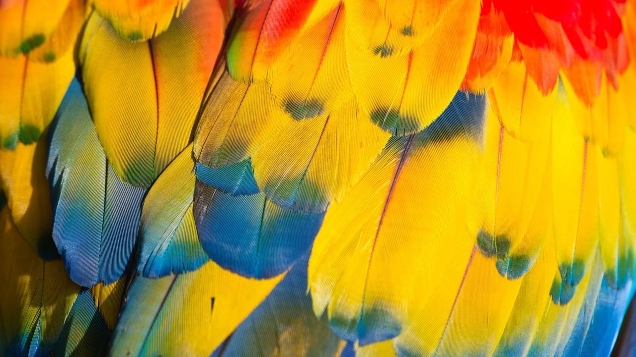 Netteté d'une image