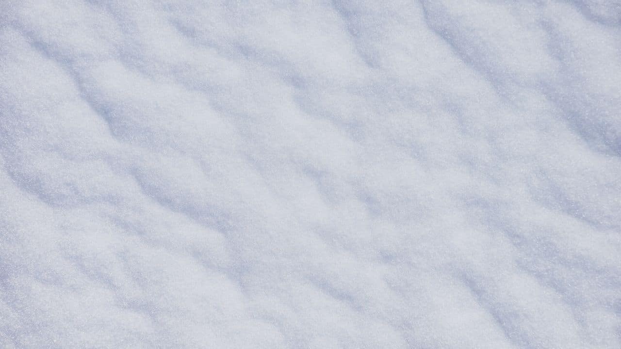 Neige grise