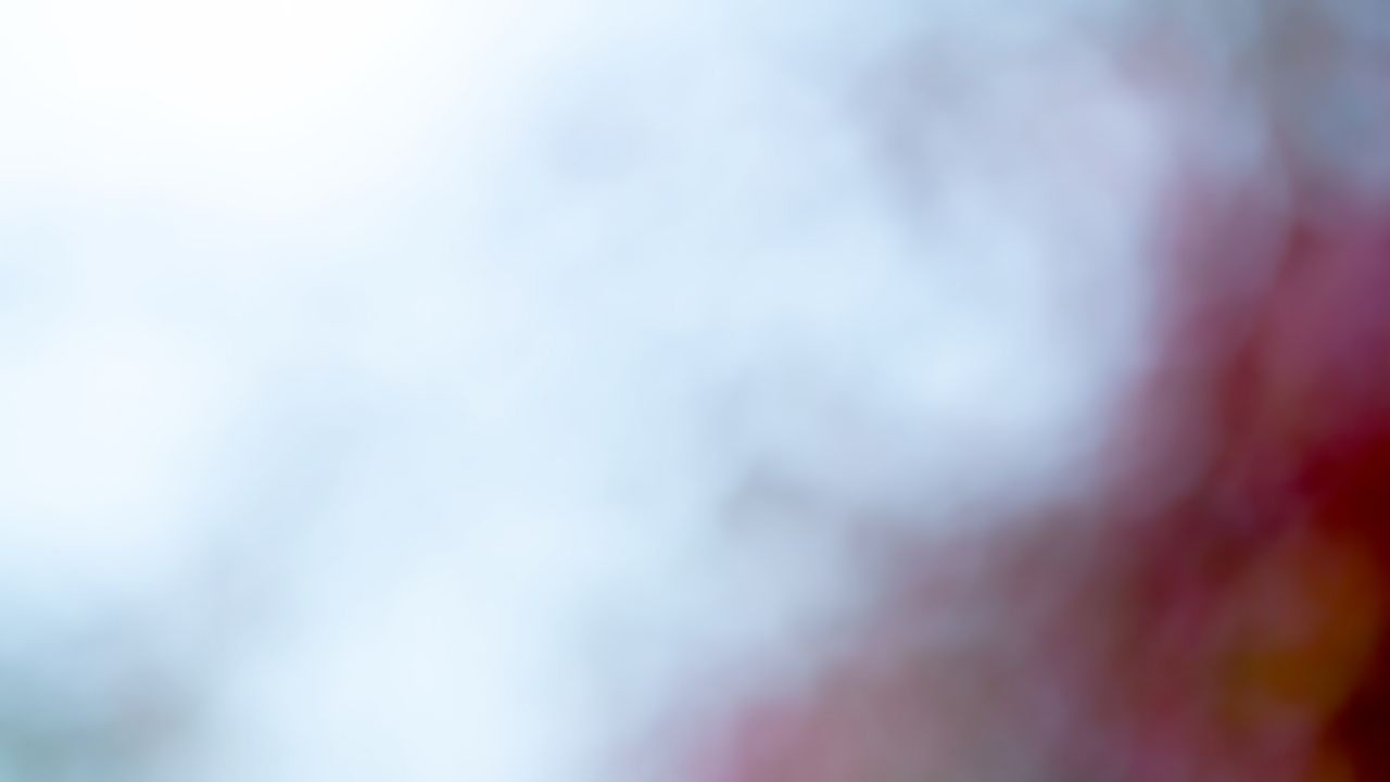 Autofocus qui patine