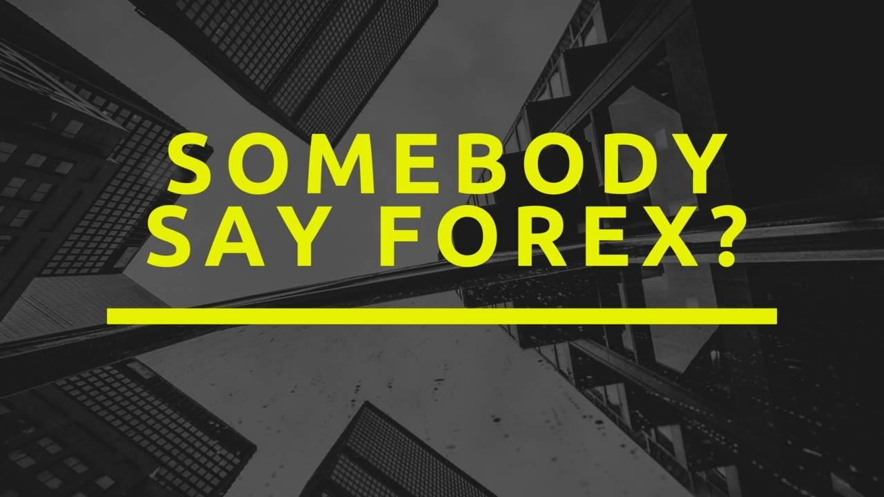 Forex chasers