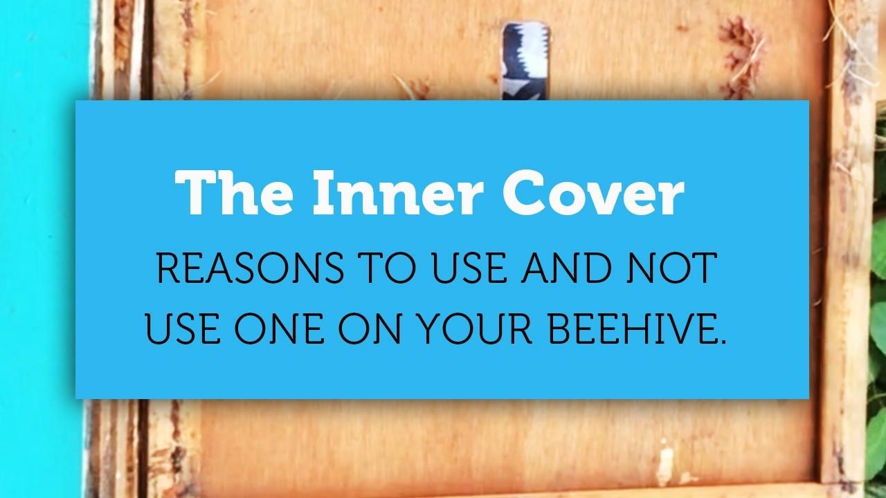 the inner cover beekeeping blog title page image