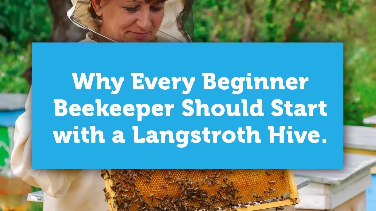 why every beginner beekeeper should start with a langstroth blog cover image