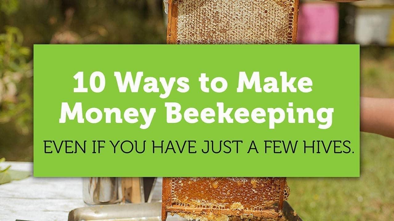 10 ways to make money beekeeping blog title image