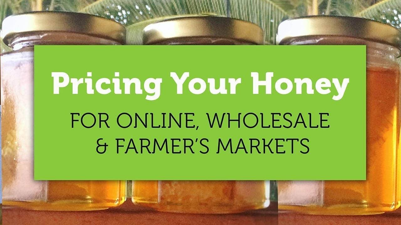 pricing your honey blog title image