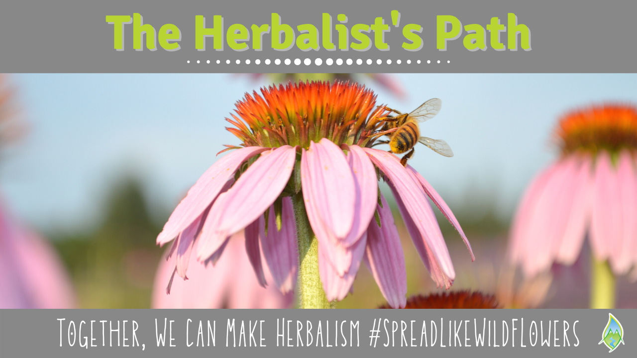 Herbal Podcast Learn Herbalism Online Classes and Herbal Medicine Making Education