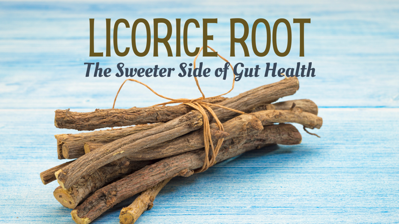 licorice roots tied together with natural twine on a blue wood background and the words licorice root: the sweeter side of gut health
