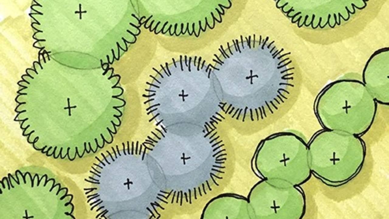 color marker on plant symbols