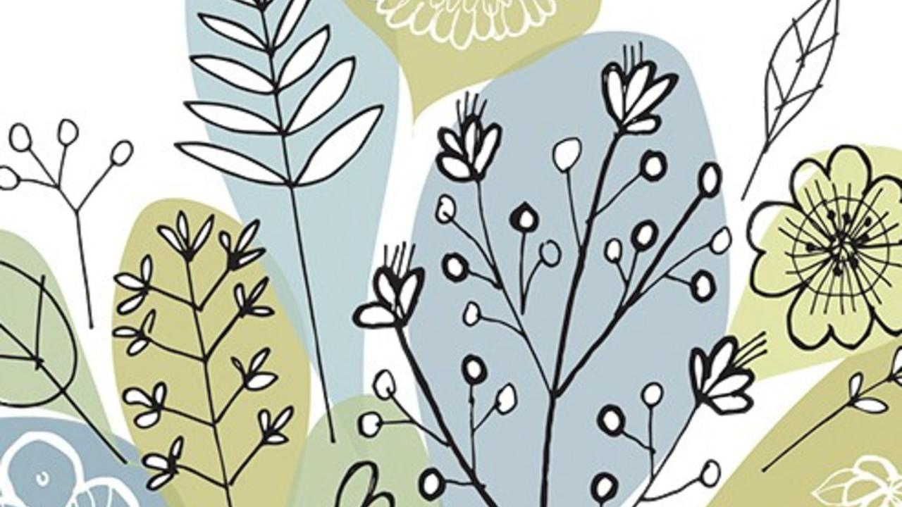 illustration of plants