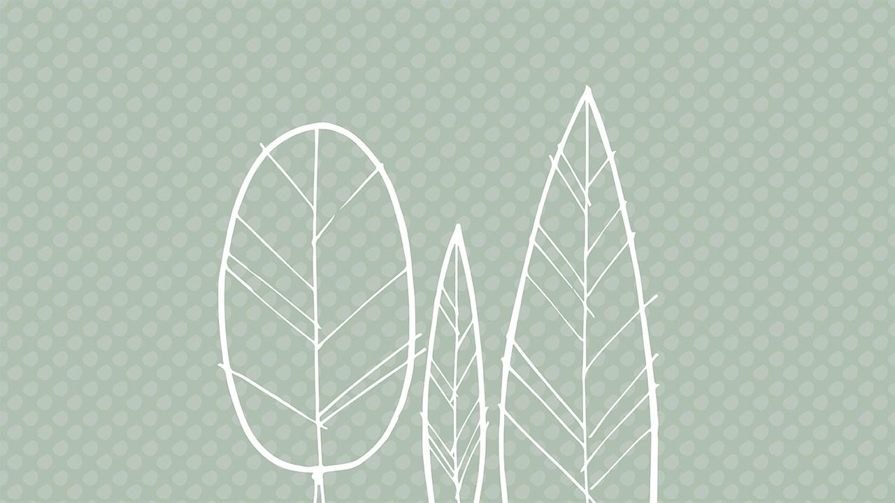 tree forms