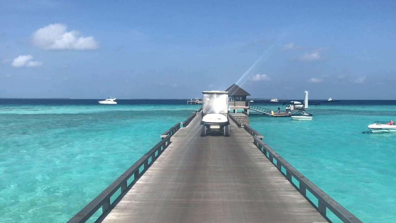 Forex trader living in thailand