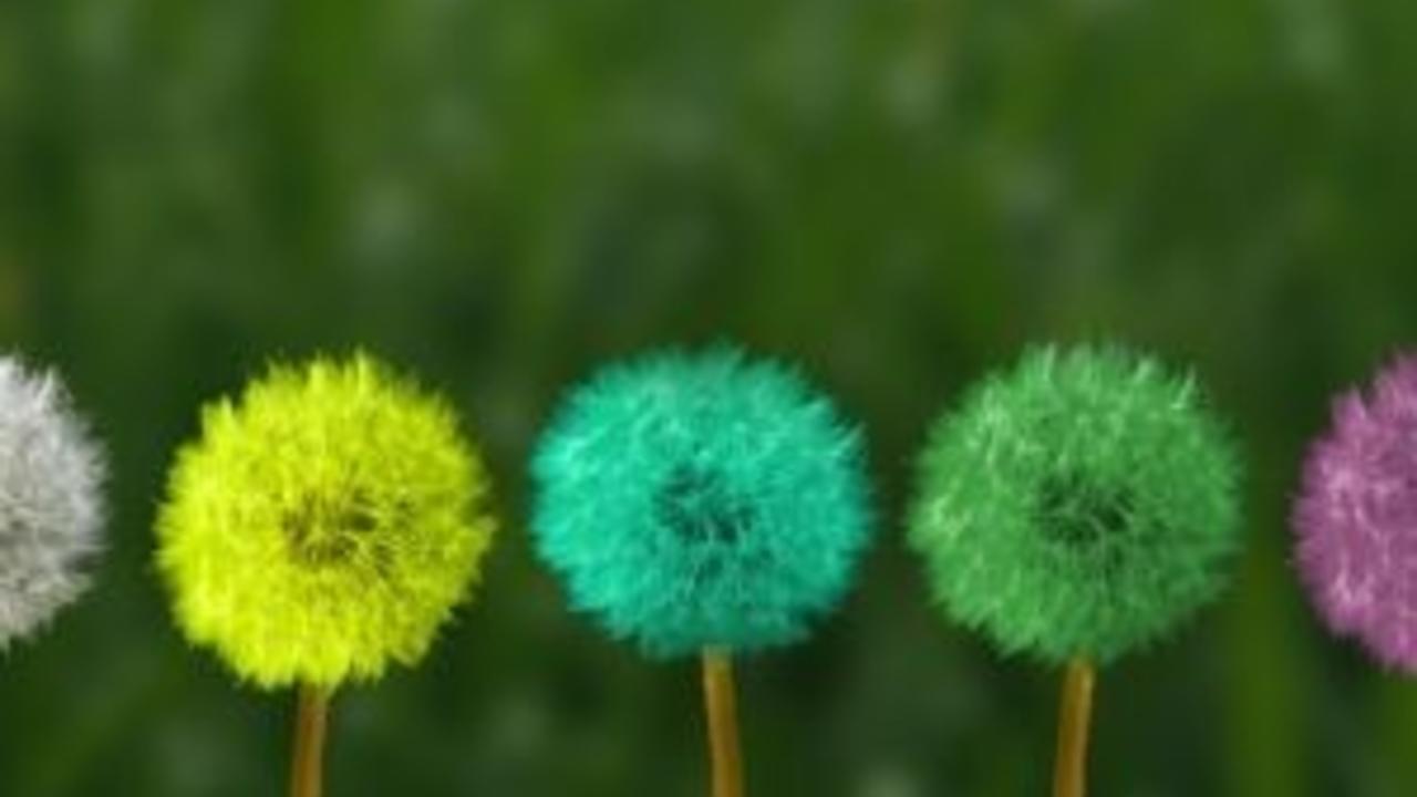 Your highest and most authentic expression grows your impact, you feel more energized, experience less stress and anxiety, and leave a lasting impact.