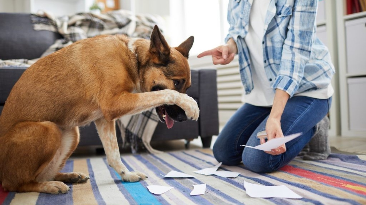 What To Do If You Are Feeling Guilty
