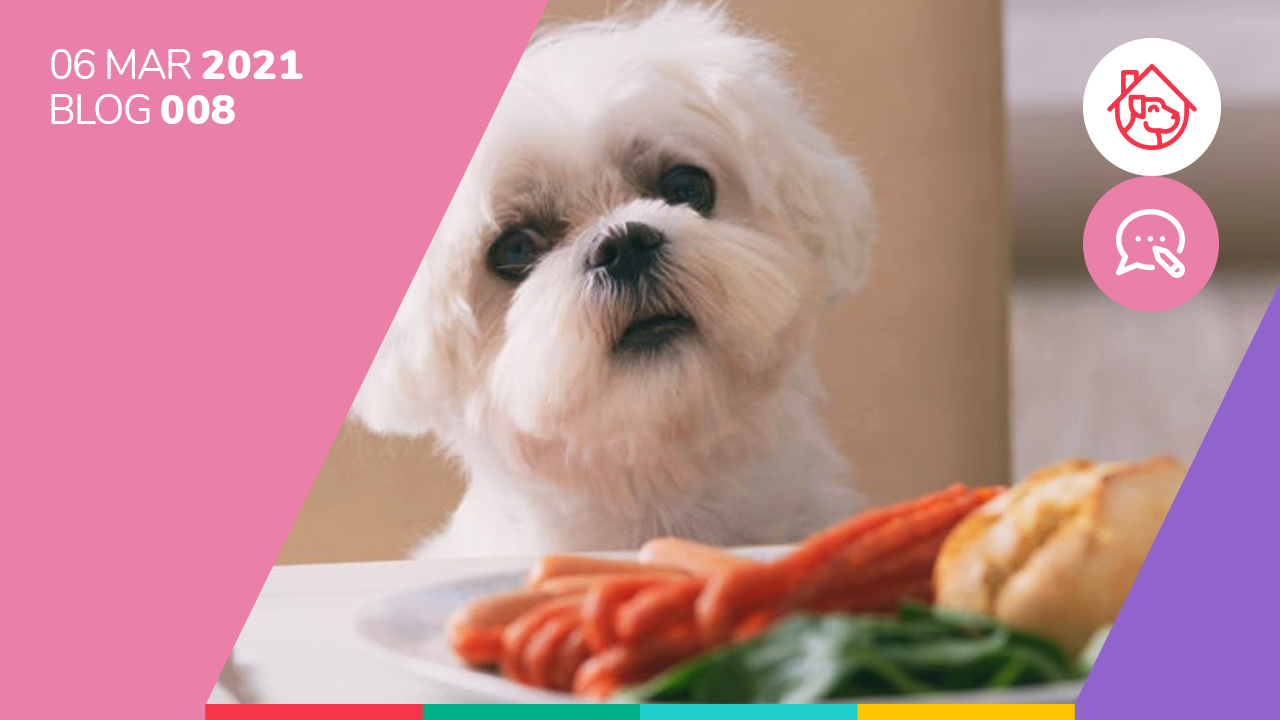 Diez alimentos que son un riesgo para la salud de los perros.