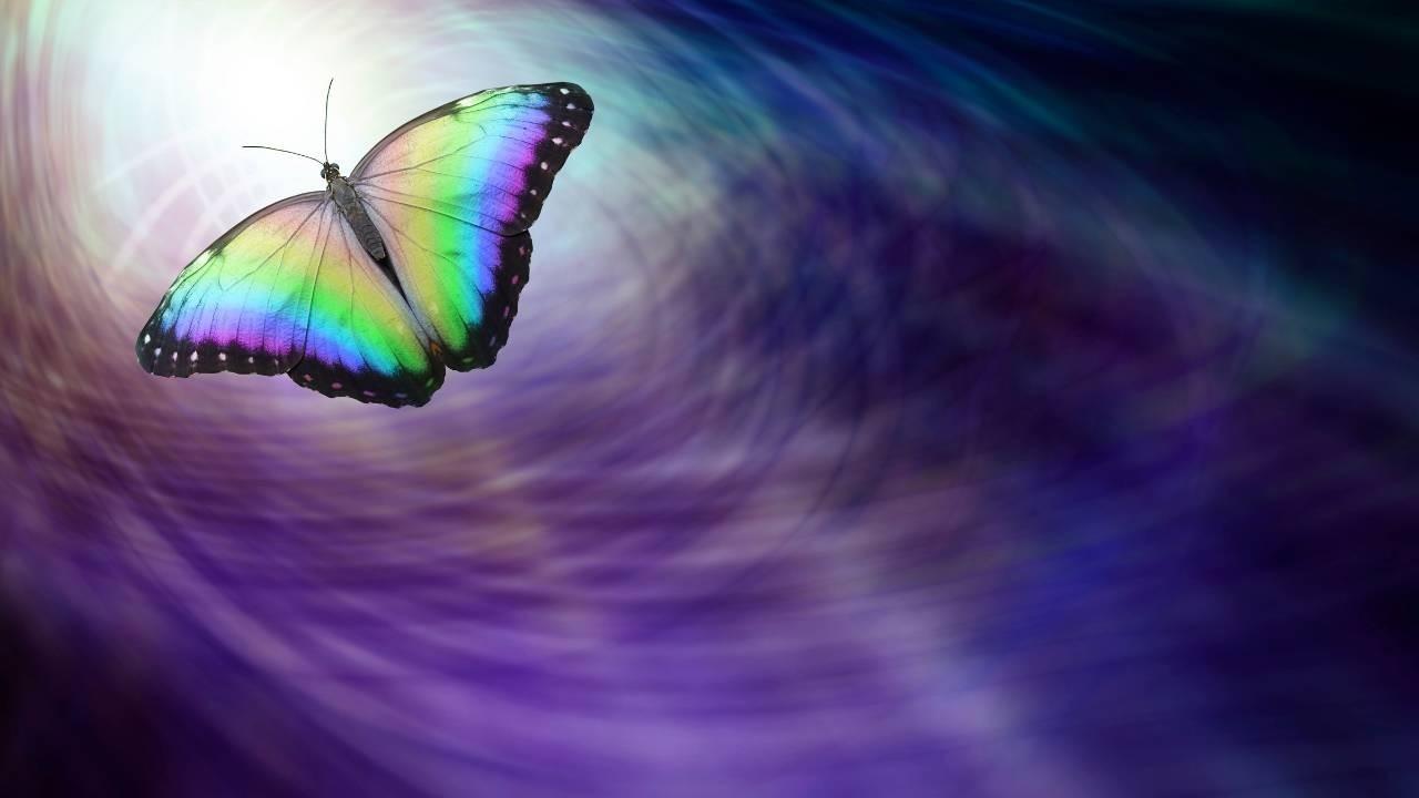 A photo of a butterfly on a purple background with purple being a highly spiritual colour and the butterfly representing the transformation with a spiritual awakening