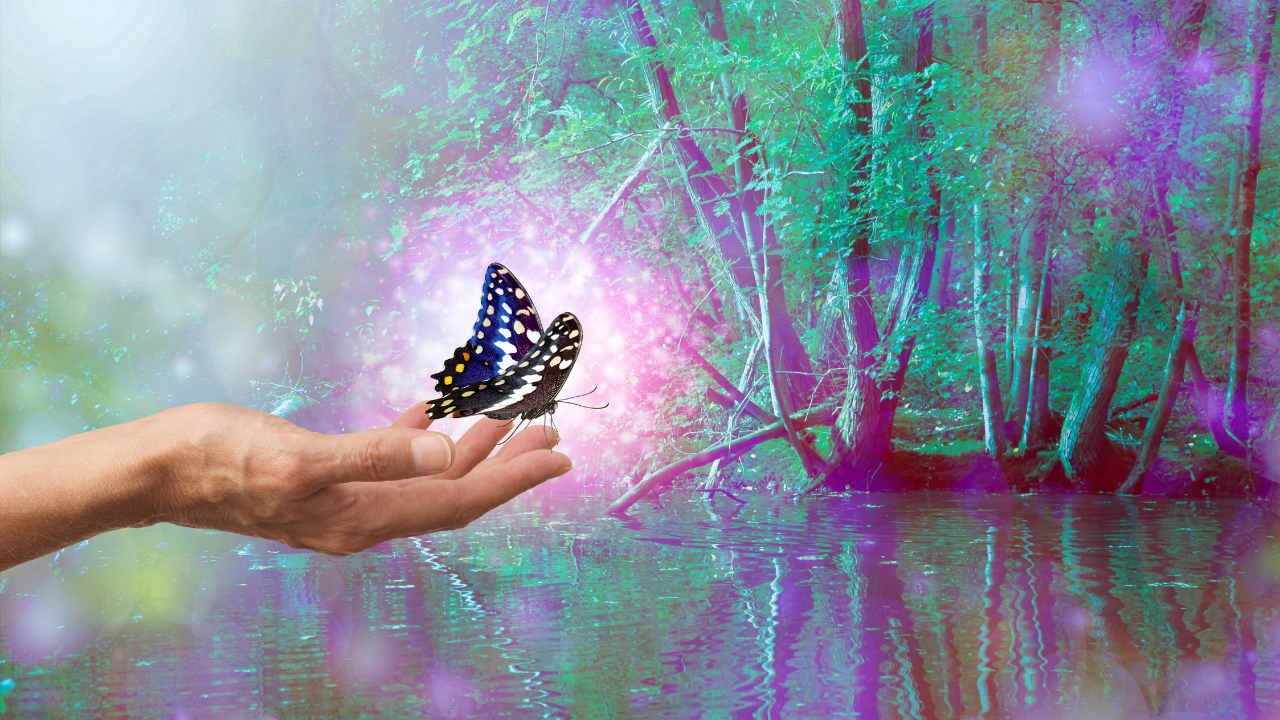 Magical sparkling butterfly release - hand holds a pink glowing butterfly in ethereal forest - symbolising surrender and the art of letting go of resistance to who we are and our truth
