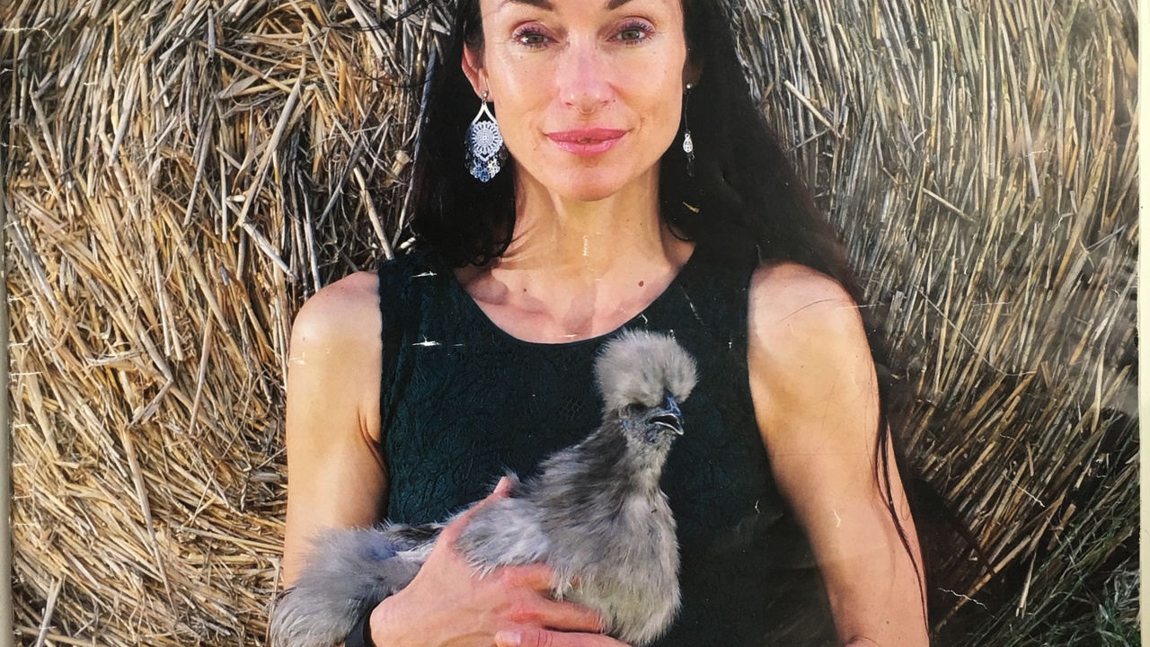 Wild Harvest School in the Media