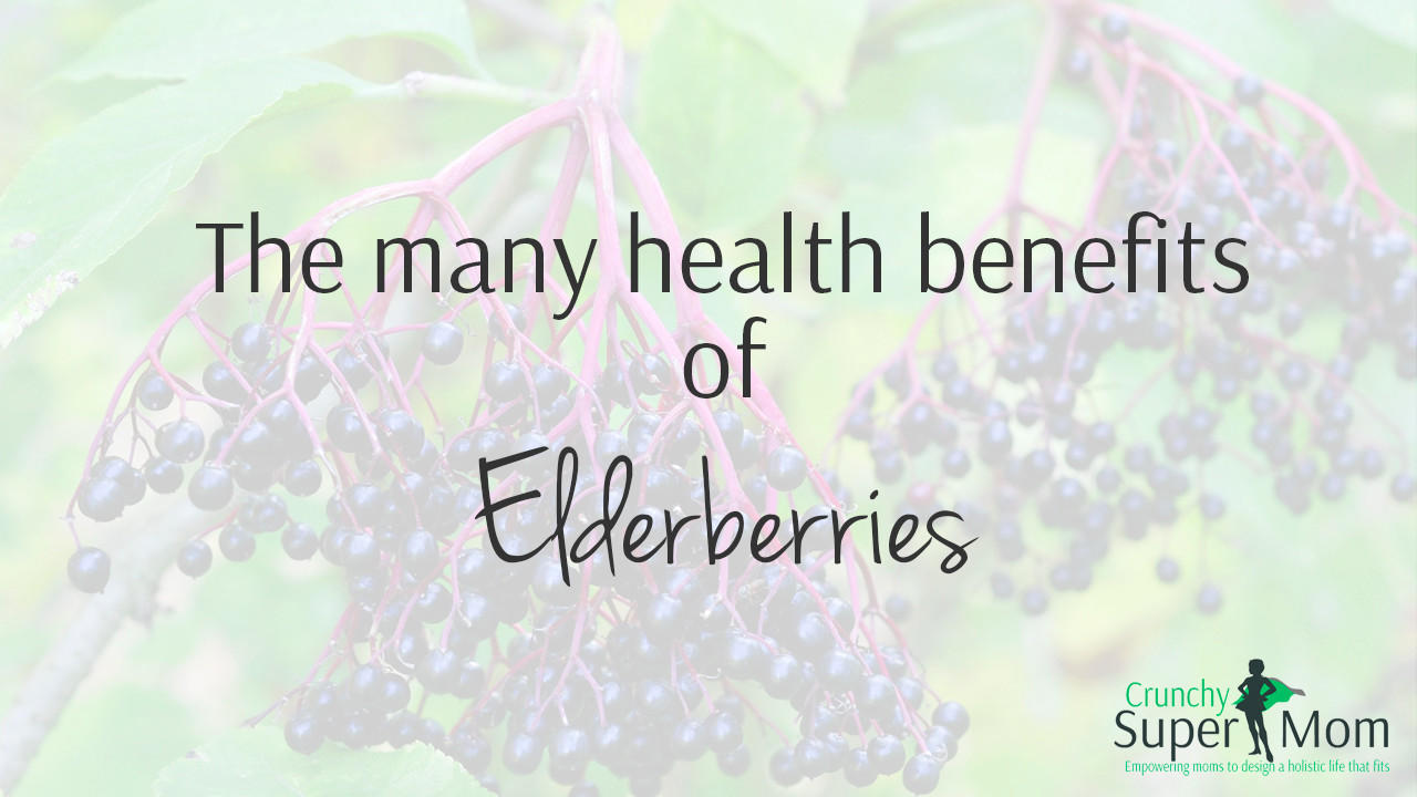 Benefits of Elderberry Syrup