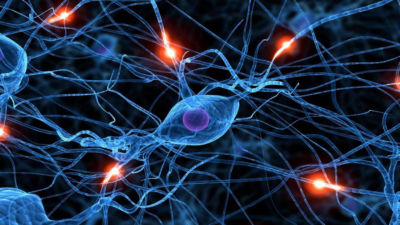 YSk7iRGKS2fR50T1ocjl_Imbalances_in_Neurotransmitters_Treatment_Charlotte_NC_Area.jpg