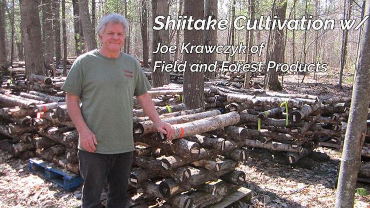 Ep. 2 Shiitake Cultivation w/ Joe Crawczyk of Field and Forest Products