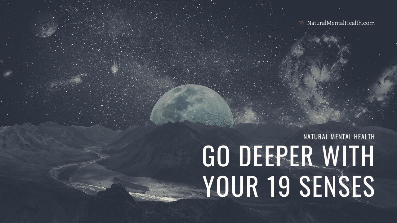 Go deeper with your 19 senses.