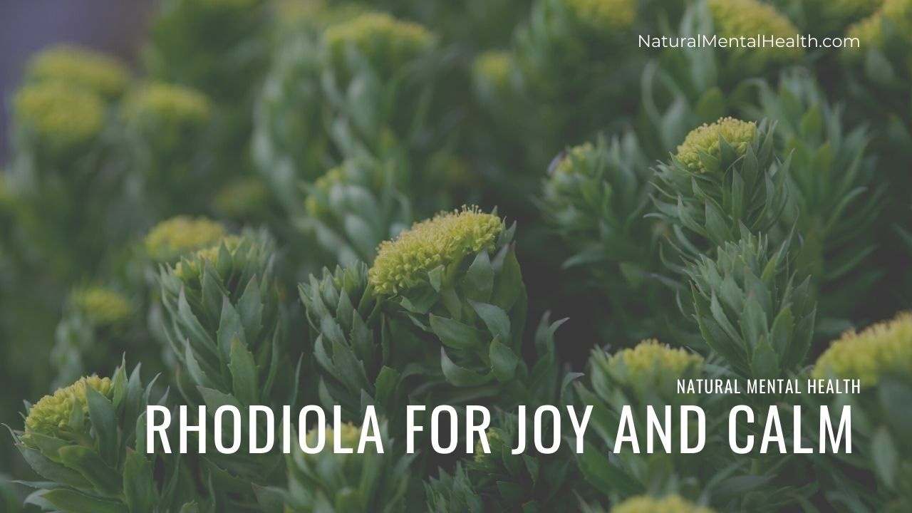 Rhodiola for Joy and Calm