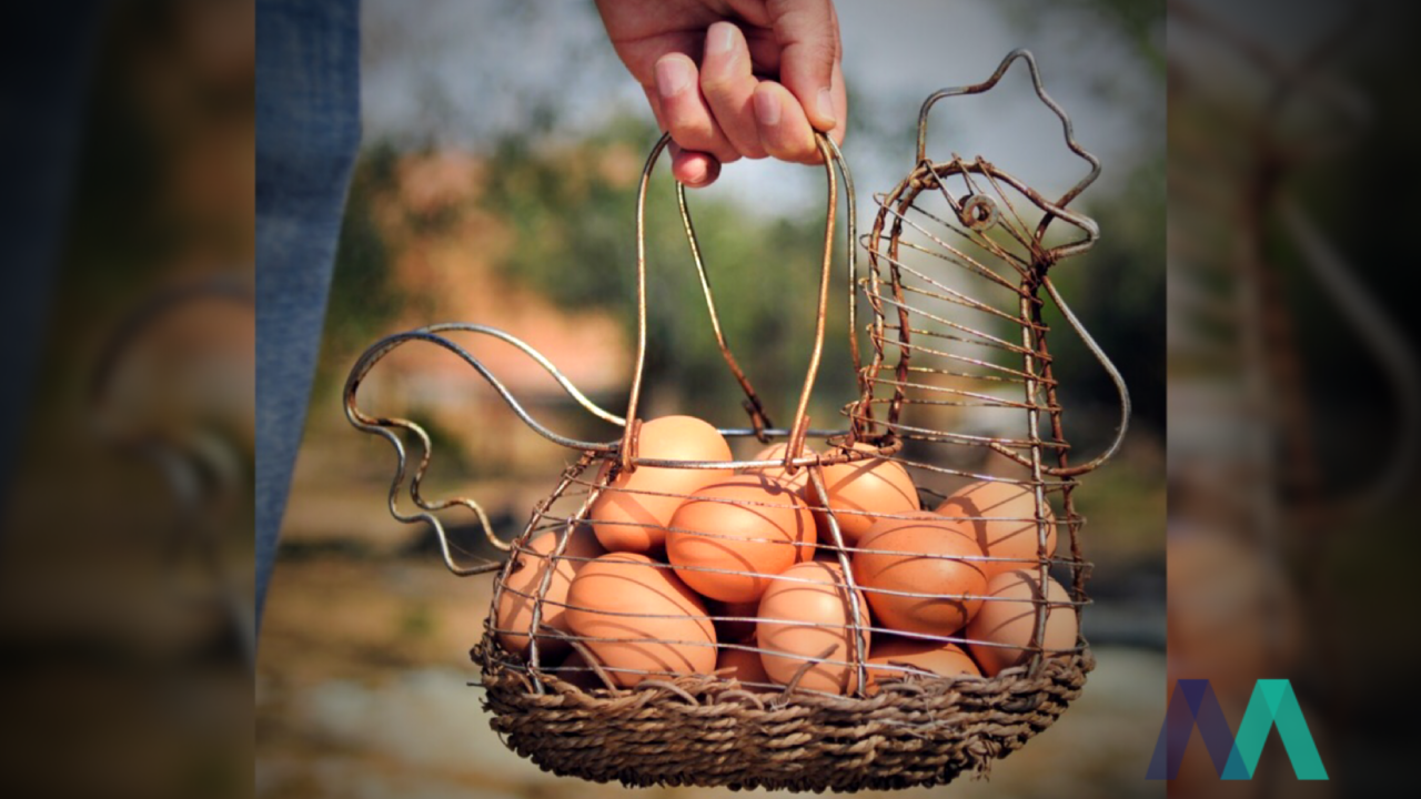 Ever feel like all your eggs are in one basket? Here's a rhyme for you