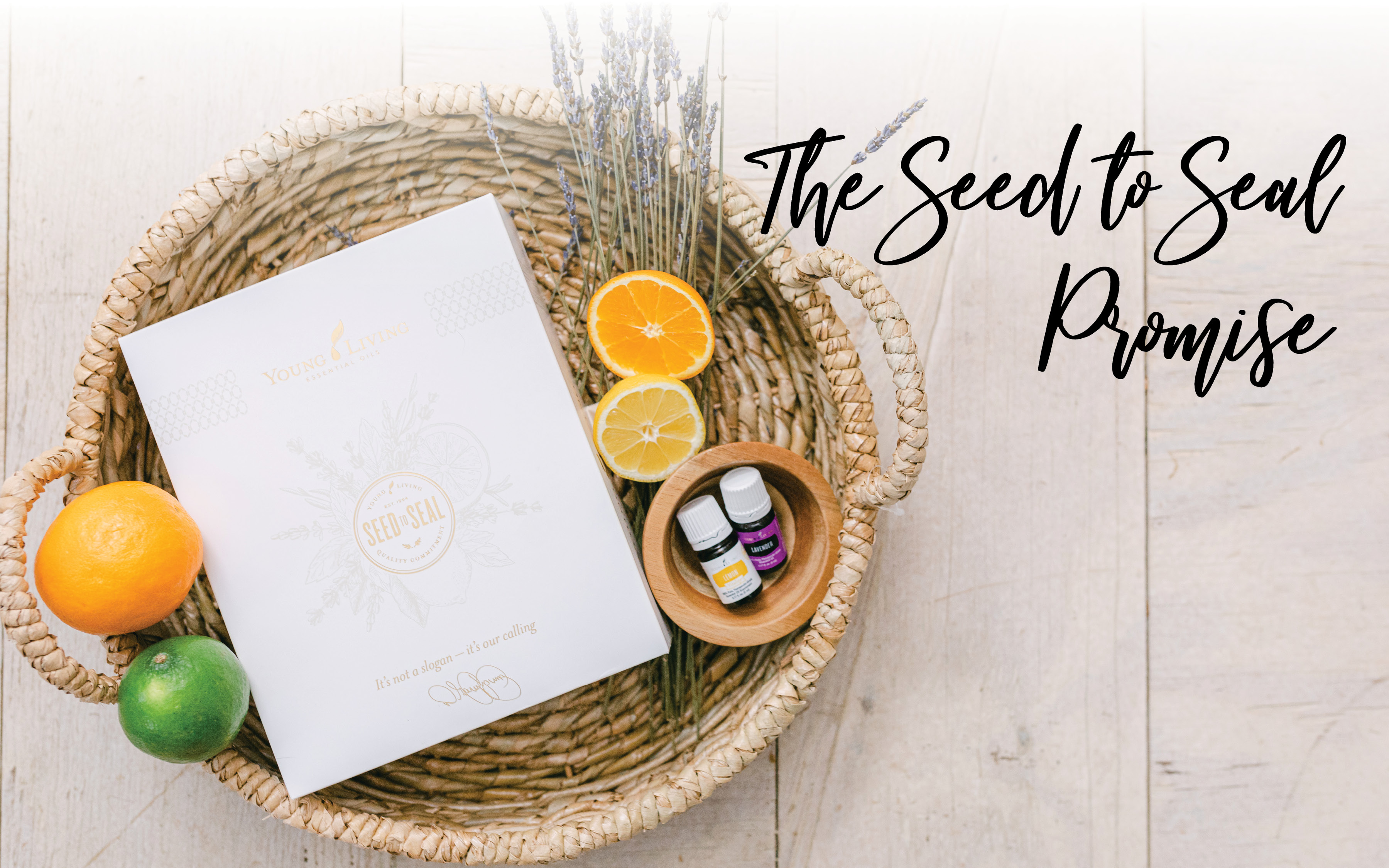 Seed to seal. essential oils 101