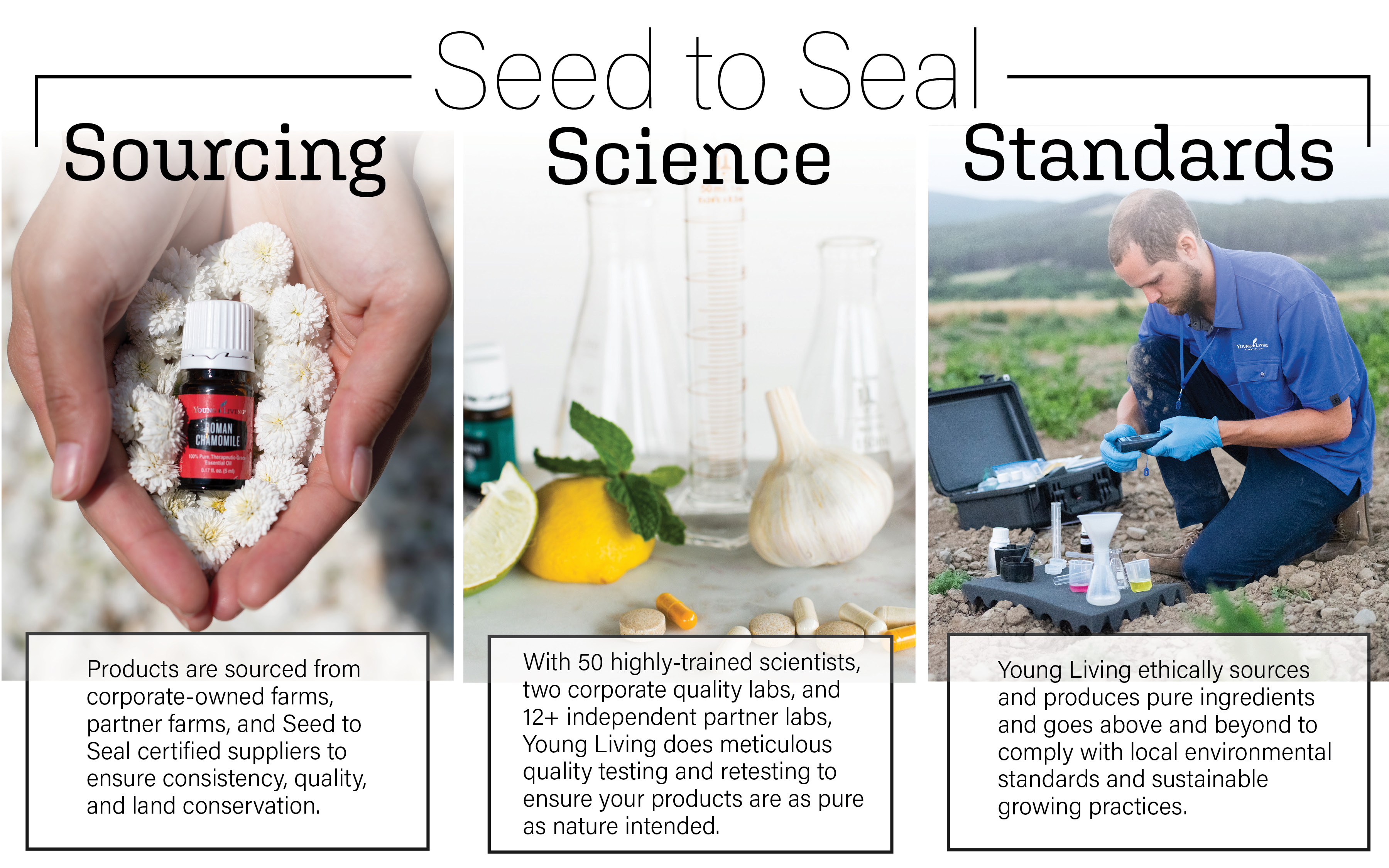 Young Livings seed to seal