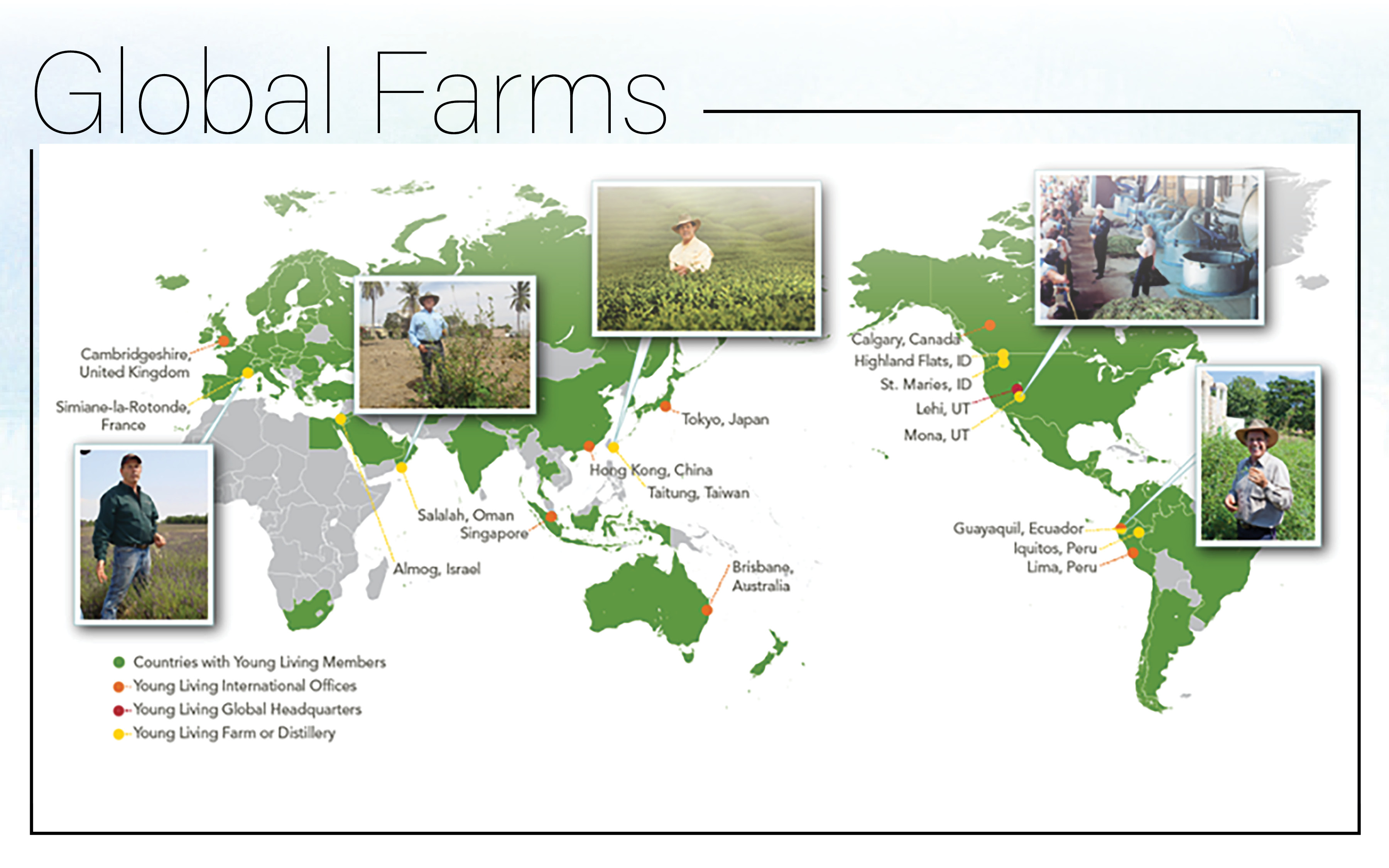 Young living farms are everywhere