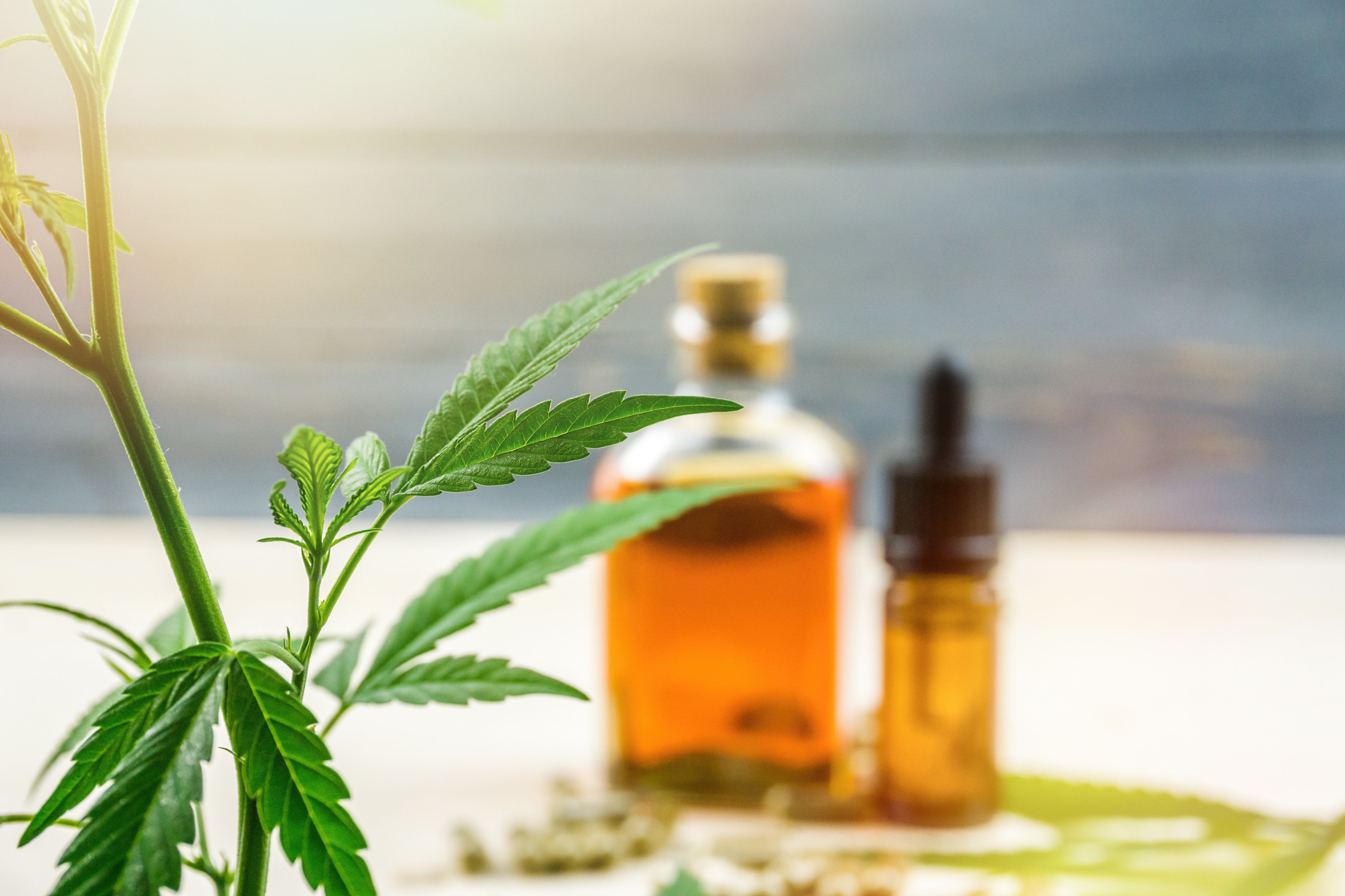 How to Choose Your CBD