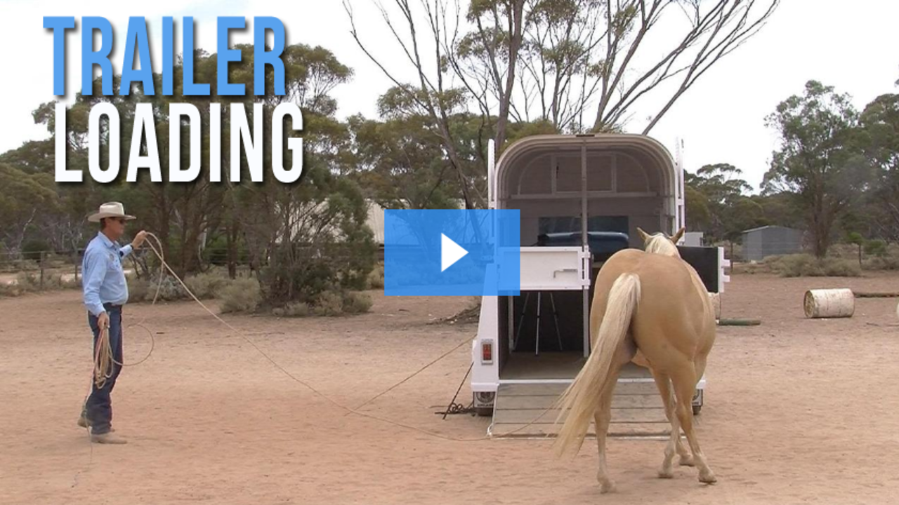 horse trailer loading