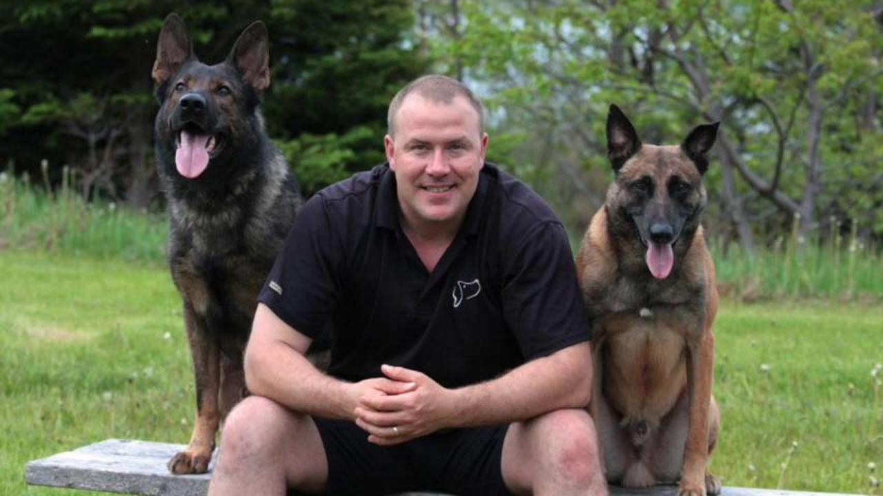 genesis dog training