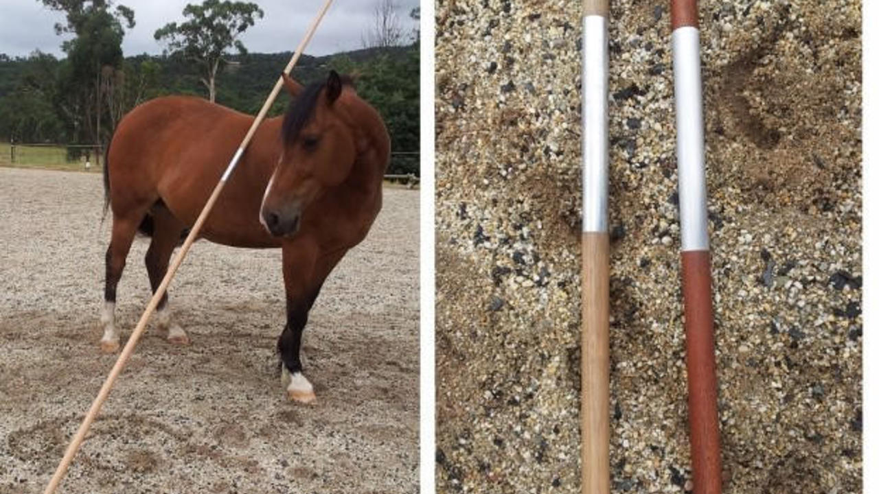 Vfdtfnroepciaphd8kuw file