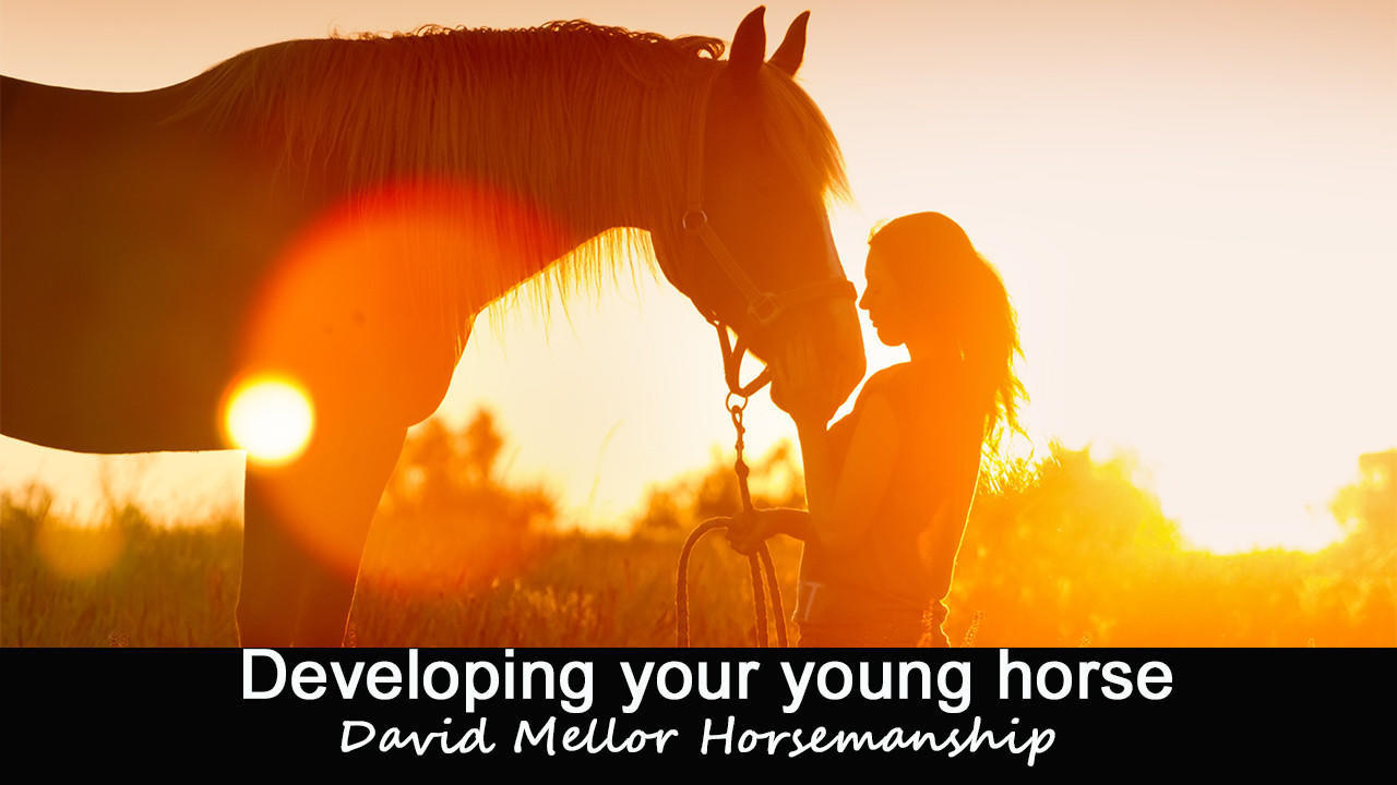 Vqprq0wktoqf2mg2qulv file