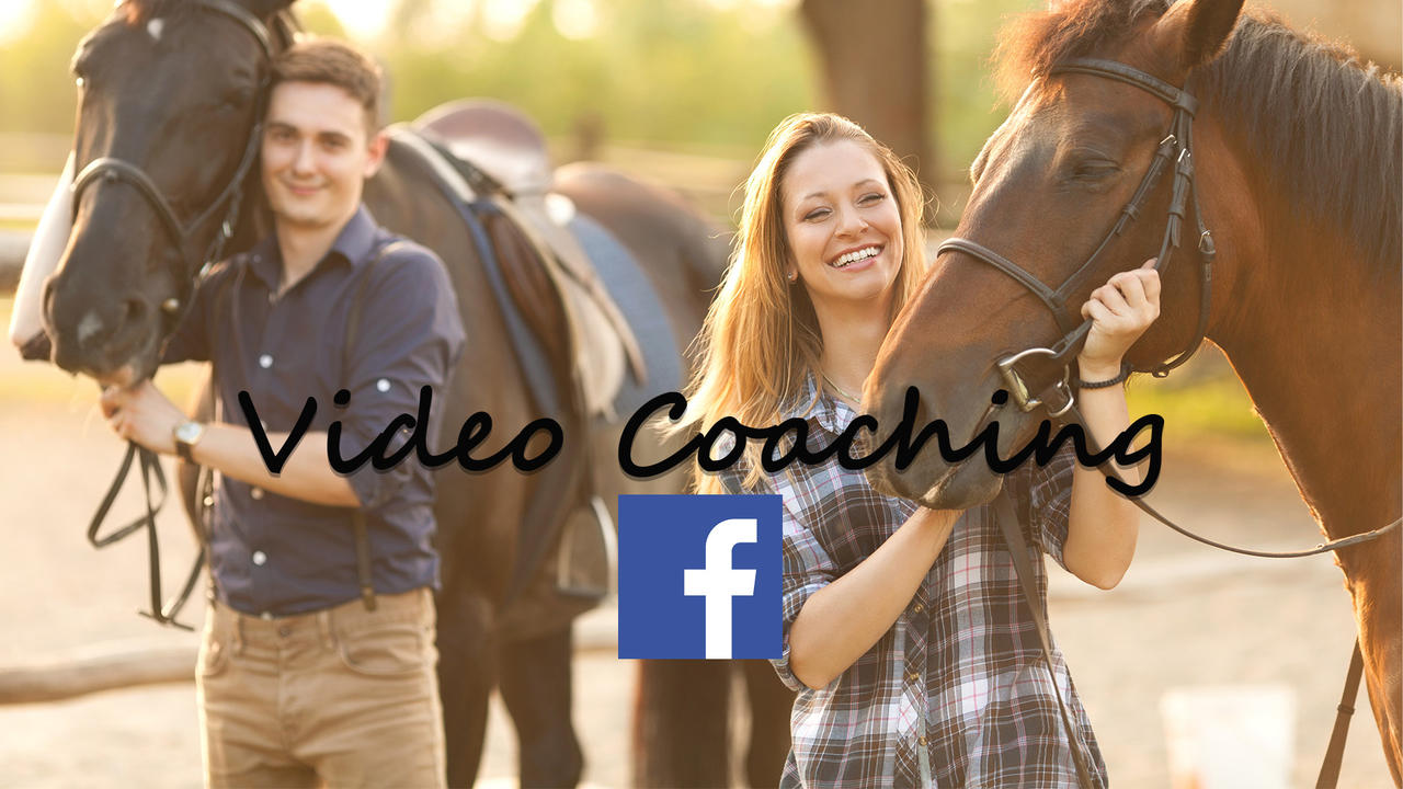 Zswzzcoetk2szv0scb2w video coaching