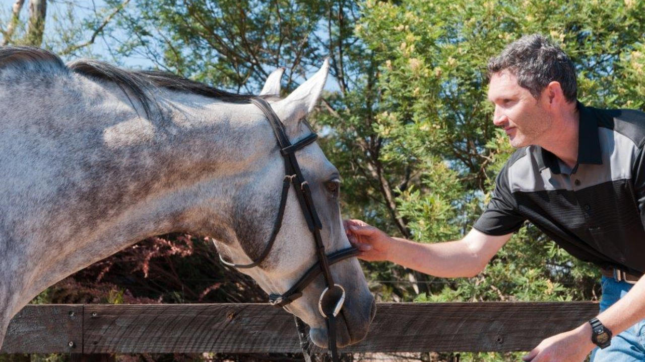 Thzjhdomt1gi4inbrcfl dsc 4733big