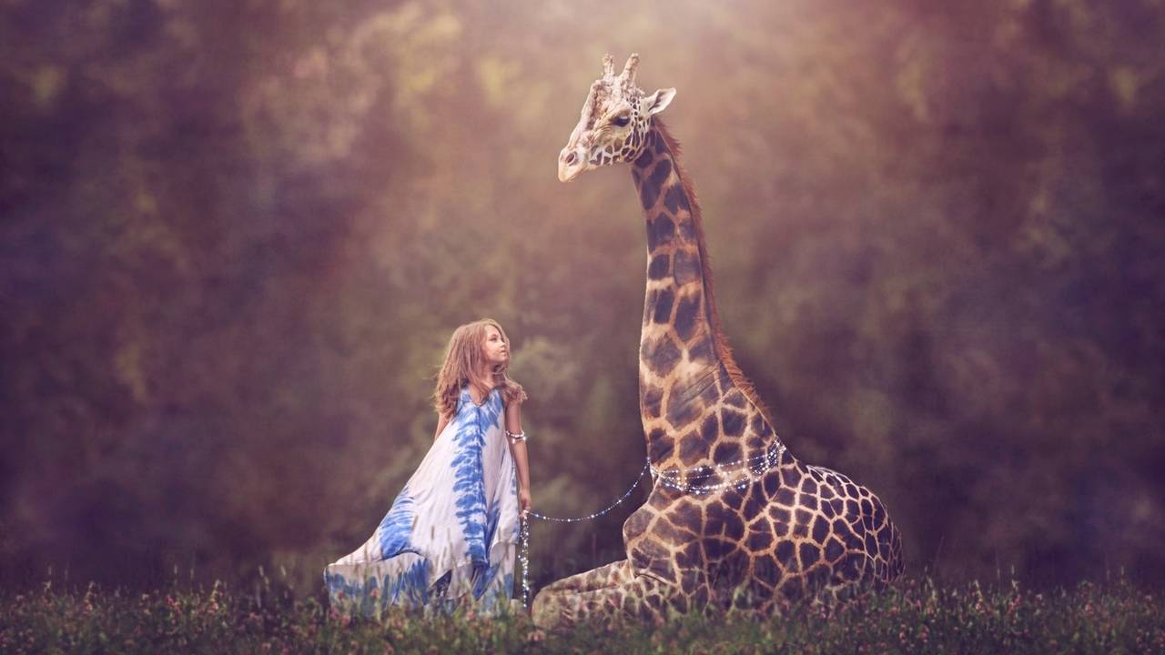 photoshop and creative compositing for photographers portrait photography contract