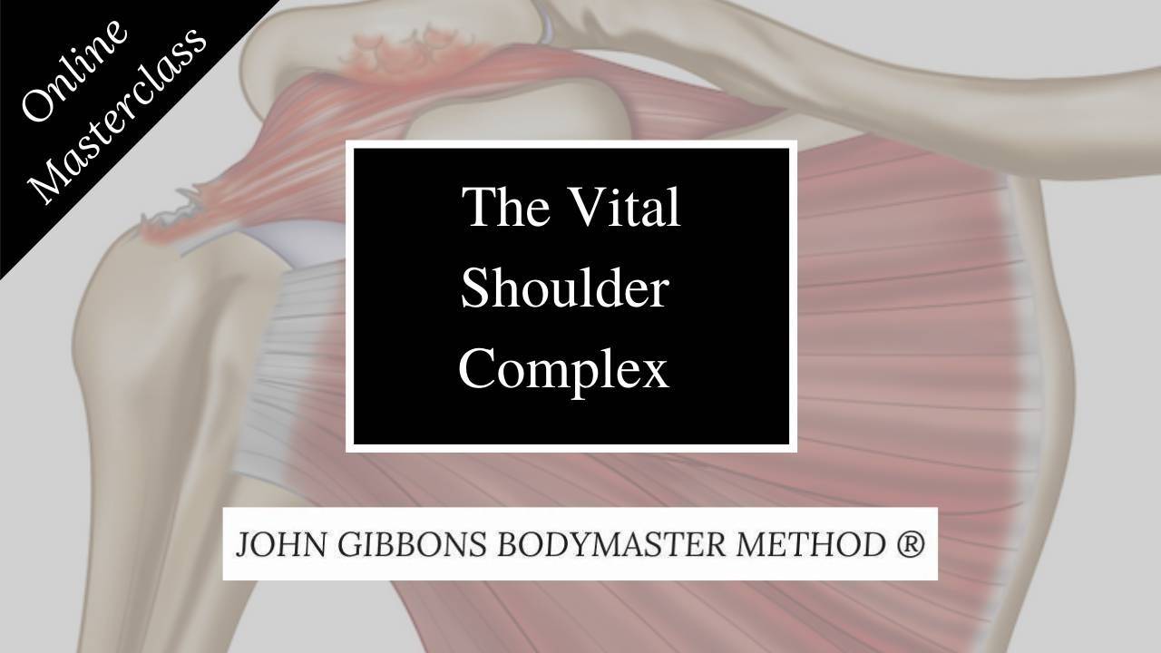 The Vital Shoulder Complex Online Masterclass