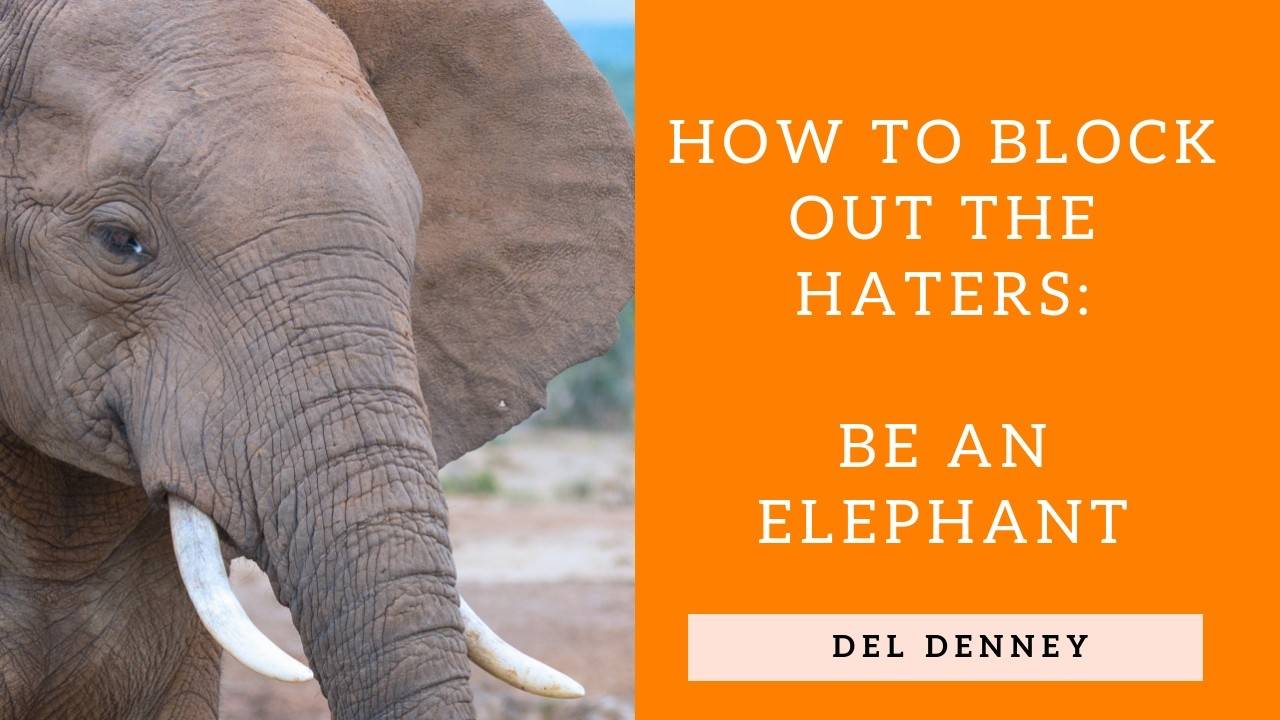 How to Block Out the Haters 🐘