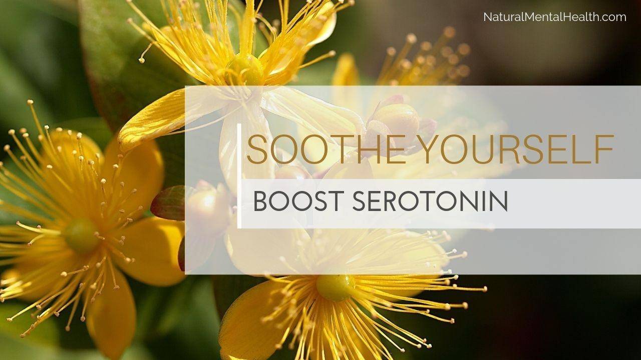 Boost Serotonin Symptoms of Deficiency, Supplements, and Diet