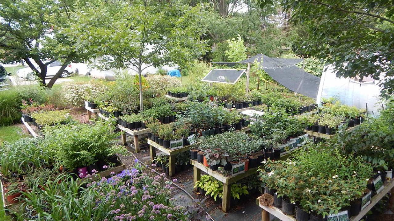 Backyard Nursery R7syghsjurxhukmo9zag Backyard Nursery Png